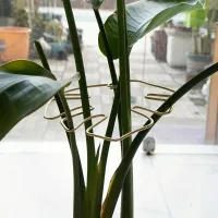 Large Hanging Plant Stand with Iron Hooks thumbnail 4