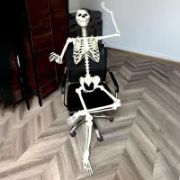 Life-Size Posable Skeleton Halloween Prop thumbnail 2