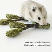 Golden Bear Hamster Foraging Bite Toy thumbnail 4