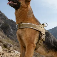 No-Pull Tactical Dog Harness Large thumbnail 1