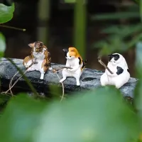 Fishing Cat Fish Tank Ornament thumbnail 1