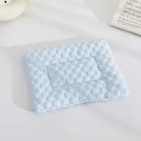 Small Pet Cooling Pad - Ice Silk Bed Mat thumbnail 1