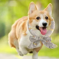 Cartoon Pet Cooling Scarf thumbnail 1