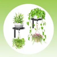 Wall Mounted Plant Shelf Set (2-Pack) thumbnail 4