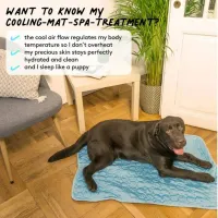 Cooling Pet Mat - Self-Cooling Blanket thumbnail 4