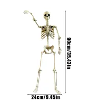 Life-Size Posable Skeleton Halloween Prop thumbnail 6
