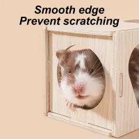 Wooden Hamster Tunnel Chew Toy thumbnail 4
