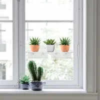 Acrylic Window Plant Shelf thumbnail 4