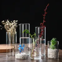 Glass Cylinder Vases Set thumbnail 2