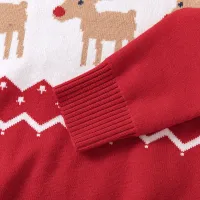 Family Christmas Elk Print Sweater thumbnail 6