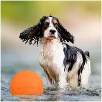 Silicone Flying Saucer Pet Frisbee Toy thumbnail 2