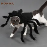 Halloween Spider Pet Costume thumbnail 1
