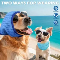 Dog Cooling Bandana 2 Pack thumbnail 1