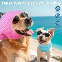 Cooling Pet Bandana for Heat Relief thumbnail 1