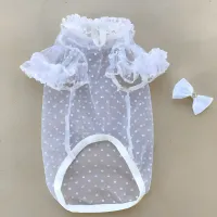 Dog Cooling Vest - Summer Pet T-Shirt thumbnail 1