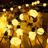Solar Star & Bulb String Lights thumbnail 2