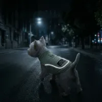 Dog Cooling Vest Harness thumbnail 4