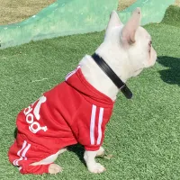 Classic Four-Leg Dog Hoodie thumbnail 4