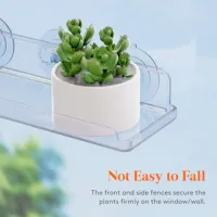 Window Plant Floating Shelves (2-Pack) thumbnail 5