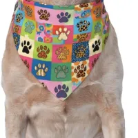 Cooling Dog Bandana Scarf Set thumbnail 1