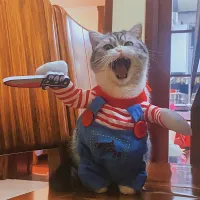 Halloween Cat Cosplay Costume Jumpsuit thumbnail 2