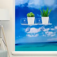 Acrylic Window Plant Shelf thumbnail 6