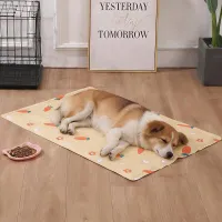 Pet Cooling Mat Gel Bed thumbnail 3