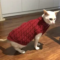 Pet Knitted Sweater for Cats & Small Dogs thumbnail 3