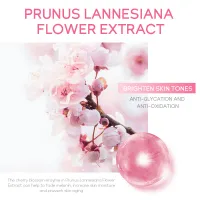 LAIKOU Sakura Vitamin C Eye Serum Roller thumbnail 4
