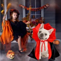 Halloween Bat Wing Pet Cape Costume thumbnail 4
