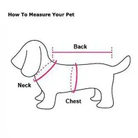 Chinese New Year Tang Suit Dog Costume thumbnail 2