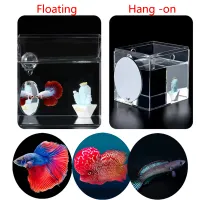 Floating Betta Fish Tank Mirror thumbnail 6
