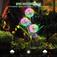 Solar Dandelion Stake Lights thumbnail 5