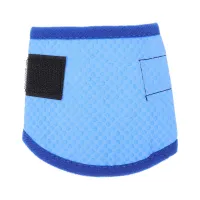 Cooling Dog Collar Ice Scarf thumbnail 5