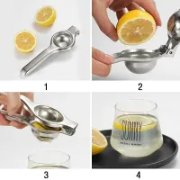 Stainless Steel Citrus Juicer thumbnail 3