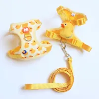 Escape Proof Mesh Cat Harness & Leash thumbnail 1