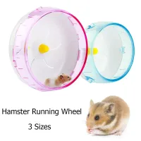 Silent Transparent Hamster Wheel thumbnail 1