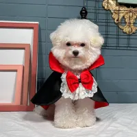 Dog Vampire Cape Halloween Costume thumbnail 1