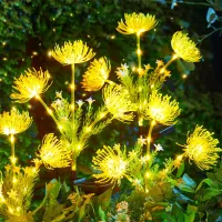 Solar LED Garden Pathway Lights thumbnail 3