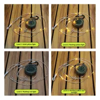 Waterproof LED String Lights 4 Modes thumbnail 3