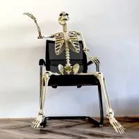 Life-Size Posable Skeleton Halloween Prop thumbnail 3