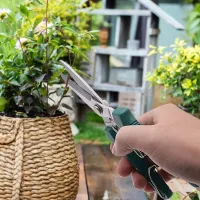 Stainless Steel Straight Head Pruning Shears thumbnail 3