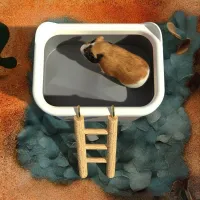 Hamster Sand Bath Box with Ladder thumbnail 5