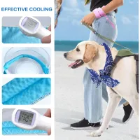 Reusable Pet Cooling Collar thumbnail 6
