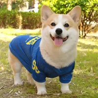 LA Style Dog Cooling Vest thumbnail 6
