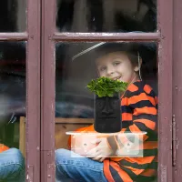 Transparent Window Plant Shelf thumbnail 4
