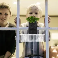 Transparent Window Plant Shelf thumbnail 5