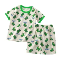 2PCS Kids Summer Cotton T-Shirt & Shorts Set thumbnail 5