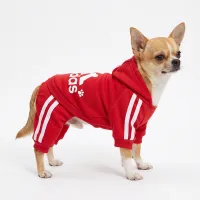Classic Four-Leg Dog Hoodie thumbnail 5