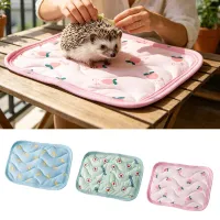 Pet Cooling Mat for Summer thumbnail 6